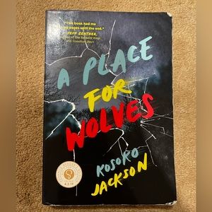 Young adult chapter books and one graphic novel